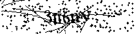 Bitte die Buchstaben und Zahlen unten eingeben