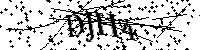 Inserire le lettere e i numeri qui sotto