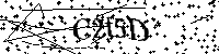 Inserire le lettere e i numeri qui sotto