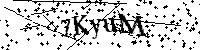 Inserire le lettere e i numeri qui sotto