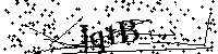 Inserire le lettere e i numeri qui sotto