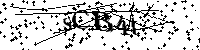 Inserire le lettere e i numeri qui sotto