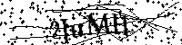 Inserire le lettere e i numeri qui sotto