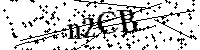 Inserire le lettere e i numeri qui sotto
