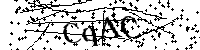 Inserire le lettere e i numeri qui sotto