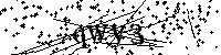 Inserire le lettere e i numeri qui sotto