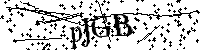 Bitte die Buchstaben und Zahlen unten eingeben