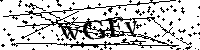 Inserire le lettere e i numeri qui sotto