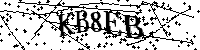 Inserire le lettere e i numeri qui sotto