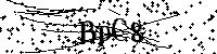 Bitte die Buchstaben und Zahlen unten eingeben
