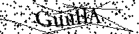 Inserire le lettere e i numeri qui sotto