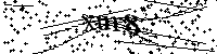 Inserire le lettere e i numeri qui sotto