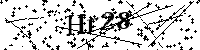 Bitte die Buchstaben und Zahlen unten eingeben
