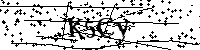 Inserire le lettere e i numeri qui sotto