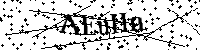 Inserire le lettere e i numeri qui sotto