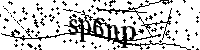 Inserire le lettere e i numeri qui sotto