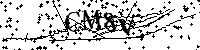 Inserire le lettere e i numeri qui sotto