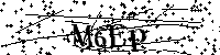 Inserire le lettere e i numeri qui sotto