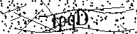 Inserire le lettere e i numeri qui sotto
