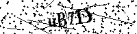 Inserire le lettere e i numeri qui sotto