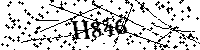 Inserire le lettere e i numeri qui sotto