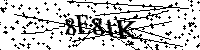 Bitte die Buchstaben und Zahlen unten eingeben
