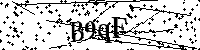 Bitte die Buchstaben und Zahlen unten eingeben