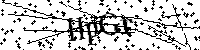 Inserire le lettere e i numeri qui sotto