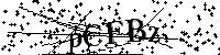 Bitte die Buchstaben und Zahlen unten eingeben
