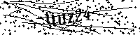 Inserire le lettere e i numeri qui sotto