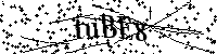 Bitte die Buchstaben und Zahlen unten eingeben