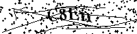 Bitte die Buchstaben und Zahlen unten eingeben