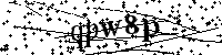 Inserire le lettere e i numeri qui sotto