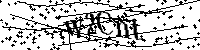 Inserire le lettere e i numeri qui sotto
