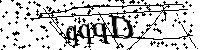 Inserire le lettere e i numeri qui sotto
