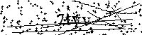 Inserire le lettere e i numeri qui sotto