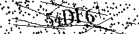 Inserire le lettere e i numeri qui sotto