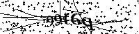 Inserire le lettere e i numeri qui sotto