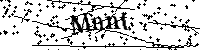 Inserire le lettere e i numeri qui sotto