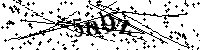 Bitte die Buchstaben und Zahlen unten eingeben