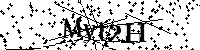 Inserire le lettere e i numeri qui sotto