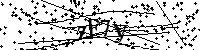 Inserire le lettere e i numeri qui sotto