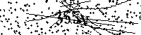 Inserire le lettere e i numeri qui sotto