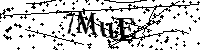 Inserire le lettere e i numeri qui sotto