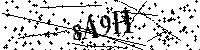 Inserire le lettere e i numeri qui sotto