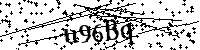 Inserire le lettere e i numeri qui sotto