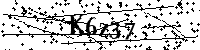 Inserire le lettere e i numeri qui sotto
