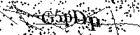 Inserire le lettere e i numeri qui sotto