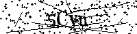 Inserire le lettere e i numeri qui sotto