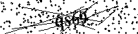 Inserire le lettere e i numeri qui sotto